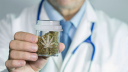 Cannabis Doc