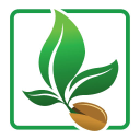 Read cannabisseedsforsale.com Reviews