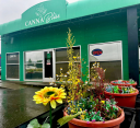 Cannabliss Logo