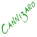 cannizaro.ie
