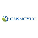 cannovex.com