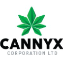 cannyxmarkets.com