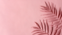 canopy invocations | content strategy & creation services