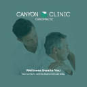 canyonchiropracticclinic.com