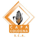 capacologna.it