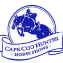 Cape Cod Hunter Horse