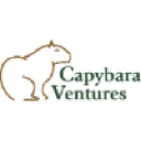 capybaraventures.com