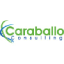 caraballoconsulting.com