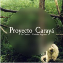 caraya.org