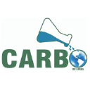 carbodobrasilquimica.com.br