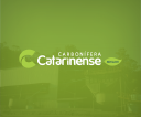 carboniferacatarinense.com.br