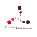 carneolconsultancy.nl