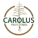 carolustrees.com