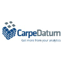CarpeDatum Consulting