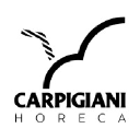 carpigianihoreca.com