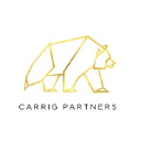 carrigpartners.com