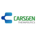 carsgen.com