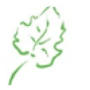 Cassidy Landscaping