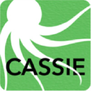 cassieinnovations.com