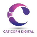 caticorndigital.com