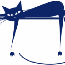 CAT IN A HAMMOCK