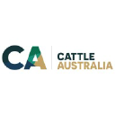 cattlecouncil.com.au