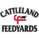 cattlelandfeedyards.com
