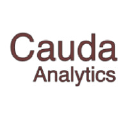 caudaanalytics.com