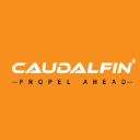 caudalfin.com