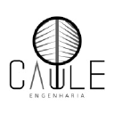 cauleengenharia.com.br