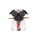 Cause and Solution logo