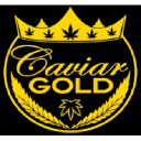 caviargold.com