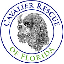 Cavalier Rescue of Florida Inc