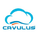 CAVULUS