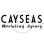 Caysea's logo