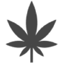 Cbd Oil