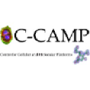 ccamp.res.in