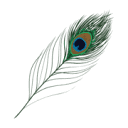 Company logo for ccchomes.co.uk