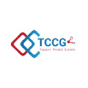 The Computer Consulting Group