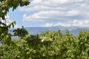 COMMUNAUTE DE COMMUNES VENTOUX SUD