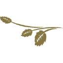 cebollafineflowers.com