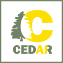 Cedar AI logo
