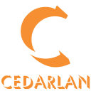 Creditsafe Business Index Bericht