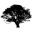 cedarmillfirearms.com Logo