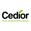 cedior.com