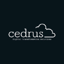 Cedrus Digital in Elioplus