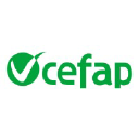 cefap.fvg.it