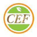 cefgroup.in