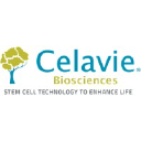 celavie.com