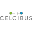 celcibus.com